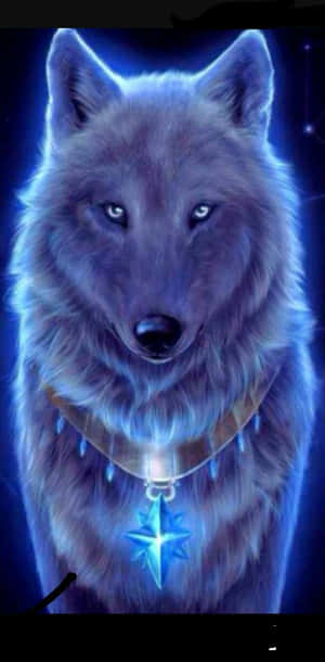 Koel Blou Wolf [agtergrond] — Wolf Muurpapier