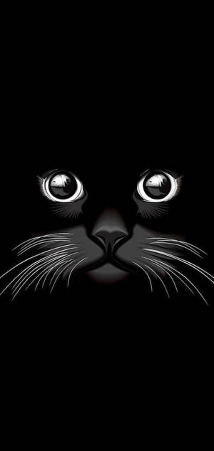 Koel Swart Kat — Samsung S23 Muurpapier