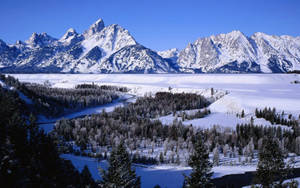 Koue Grand Teton Nasionale Park muurpapier