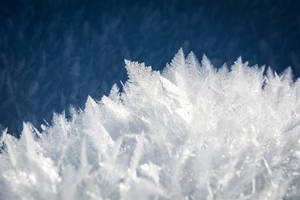 Koue winterkristalle muurpapier