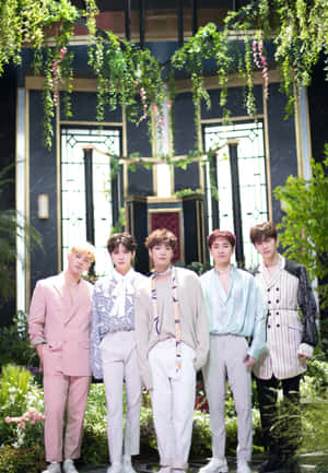 nuest — Kpop GIF Muurpapier