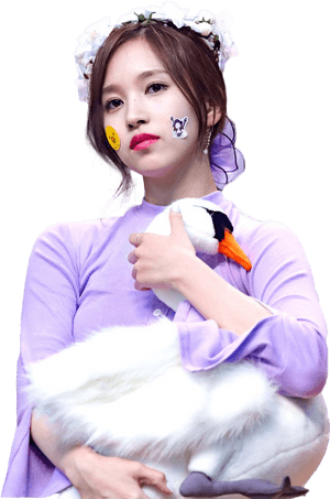 Kpop-ster met opgestopte swaan