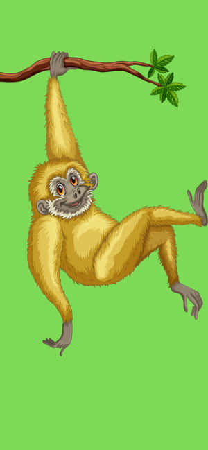 Iphone Xs Max Gibbon-agtergrond — Oppo F33 Muurpapier