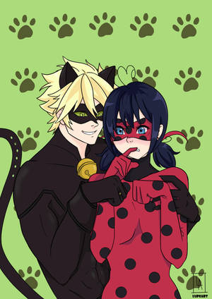 Ladybug en Cat Noir Soen hondafdruk muurpapier — Lieweheersbesie en swart kat soen Muurpapier
