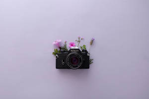 Lavender-estetiek en Nikon-kamera — Lavender estetika Muurpapier