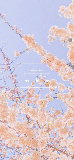 Lente-estetiese Snitlys — Blomfoon Muurpapier