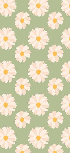 Lente iPhone Madeliefies Groen Agtergrond — iPhone 18 Pro Max Muurpapier