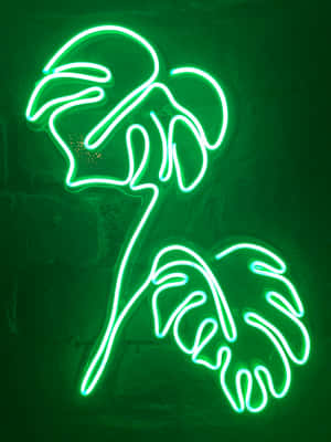Lewendige Neon Groen Estetiese Agtergrond
