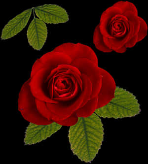 Rose Png-lêer - Roos en Blaar Png, Deursigtige Png — Roos Muurpapier