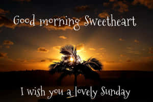 Liewe Sondagoggend Wens — Goeie more my lief Muurpapier