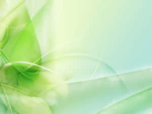 Ligte Groen Agtergrond — Groen estetiese GIF Muurpapier