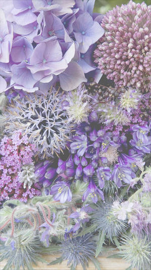 Lila en Pers Blomme iPhone