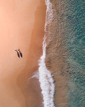Lugfoto Bondi-strand Australië-agtergrond — iPhone 7 Muurpapier