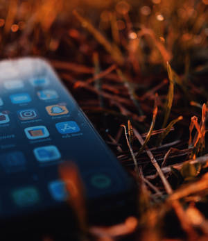 Iphone Xs Op Droë Blare Agtergrond — iPhone Xs Muurpapier