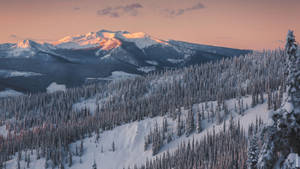 Snowy mountain range of British Columbia with pine trees for MacBook Pro wallpaper. — MacBook Pro Muurpapier