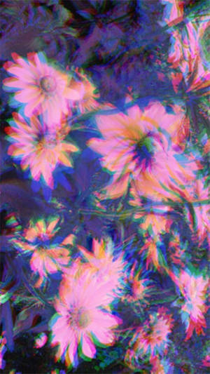 Madeliefies Trippy Estetiek — Trippige estetiek Muurpapier