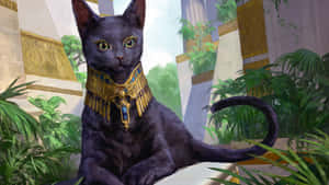Egiptiese Kat Prente — Estetiese kat Muurpapier