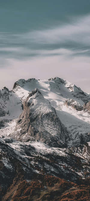 Majestueuse Bergpieke Sneeubedek — HMD Luma Muurpapier