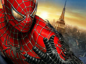 Spiderman prente — Spiderman Muurpapier