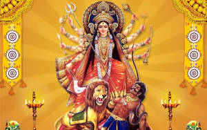 Mataji Leeu Goue Agtergrond — Leeu Muurpapier