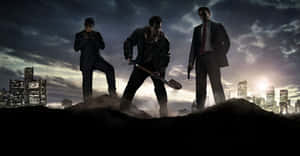 Sleeping Dogs agtergrond — Slapende honde Muurpapier