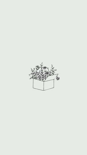 Minimalistiese Estetiese Boks Gevul Blomme Penkuns Tekening — Esteties minimalisties Muurpapier