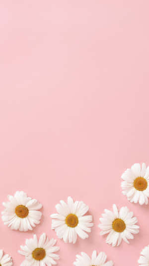 Pastel Pienk Agtergrond — Pastel pienk estetika Muurpapier