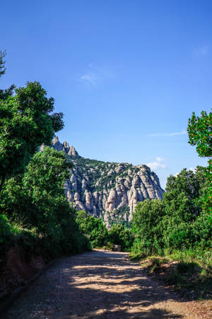 Montserrat-bospaadjie — Huawei MatePad 11.5 S (2025) Muurpapier