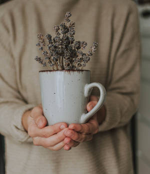 Beker met gedroogde laventelblomme in hande agtergrond — Galaxy Z Vou Muurpapier