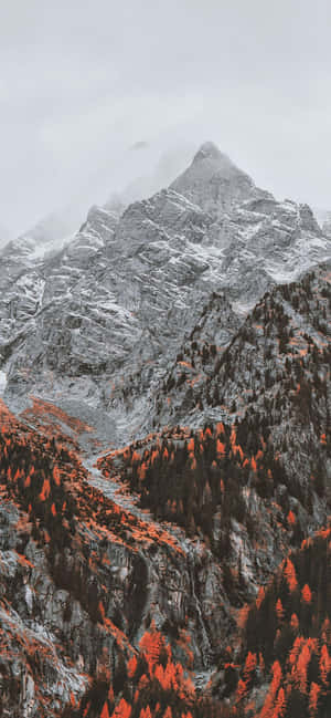 1170x2532 — Oppo Reno Muurpapier