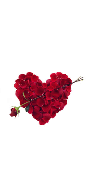 Valentynsdag Iphone — Vivo V70 Muurpapier