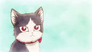 'n Huiskat wat sy tyd saam met 'n Jong Man in 'n Kamer geniet — Anime kat Muurpapier