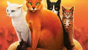 Warrior Cats