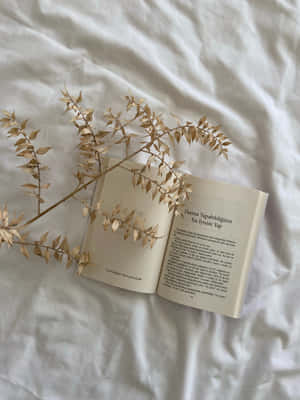 Boek-estetiese prente — 2048x2732 Muurpapier