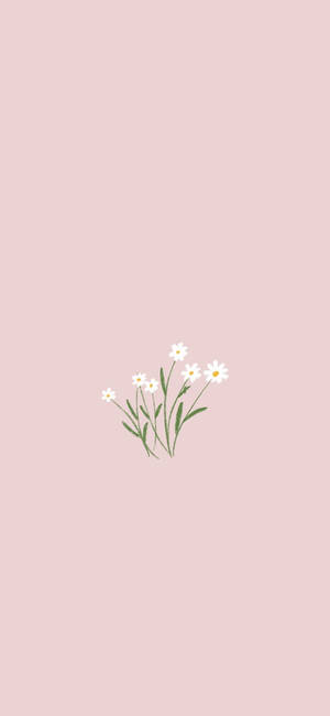 Minimalistiese Lente — Pixel 9 Pro Muurpapier