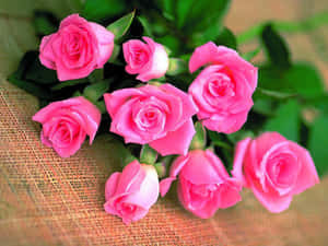 Roseblom prente — Roosblom Muurpapier