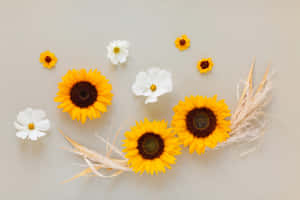 Blomprente — Bloem Muurpapier