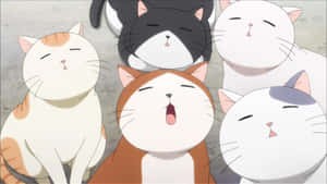 Anime Kat prente — Anime kat Muurpapier