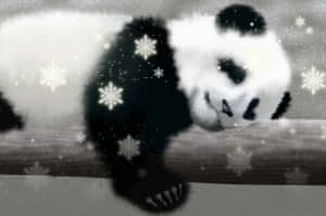 Panda-agtergrond — Panda Muurpapier