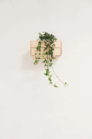 Estetiese Minimalistiese prente — Esteties minimalisties Muurpapier