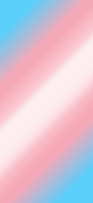 Trans Phone — Pixel 10 Pro Muurpapier
