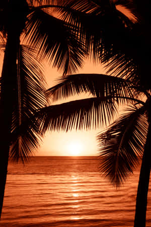 Strand Sonsondergang Agtergrond — Strand sonsondergang Muurpapier