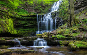 Waterval agtergrond — Waterval Muurpapier