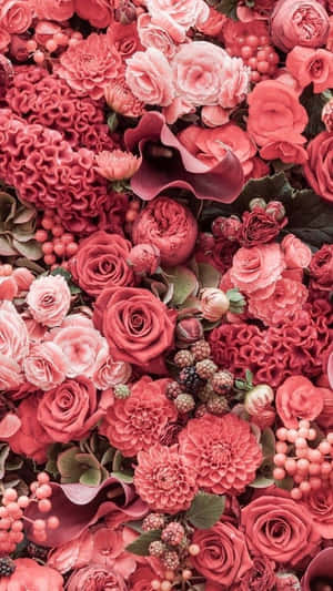 Pienk blomme