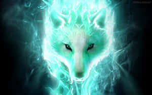 Super Cool Wolf — Koel wolf Muurpapier
