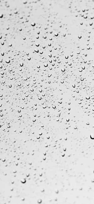 1290x2796 — Honor 600 Smart Muurpapier