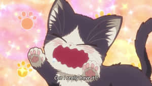 Anime Kat prente — Oulike Kat Muurpapier