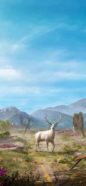 Iphone Xs Max Far Cry 5 Agtergrond — iPhone 13 Muurpapier