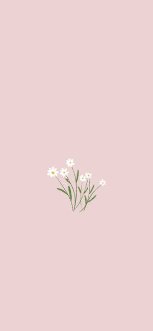 Minimalistiese Lente — Galaxy A Muurpapier