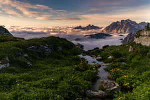 Pragtige Natuuragtergrond — Pragtige Natuur Muurpapier